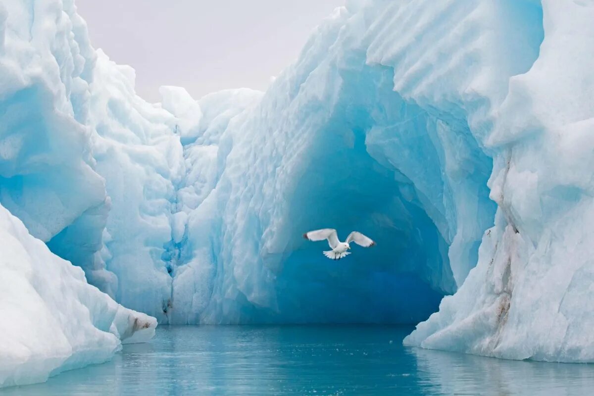 Арктика океан. Льды Северного Ледовитого океана. Арктические моря. Северный полюс. Изменение ледовитого океана