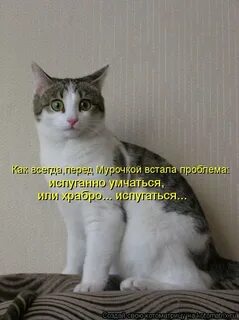 Всегда перед