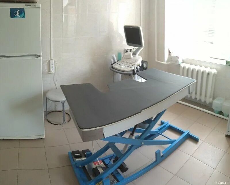 четыре лапы ветеринарная клиника щелково. клиника 4 лапы в железнодорожном. 4 +рязань ветклиника рязань. ветеринарные клиники рязань 4 лапы. 4 лапы рязань ветклиника вокзальная 42.