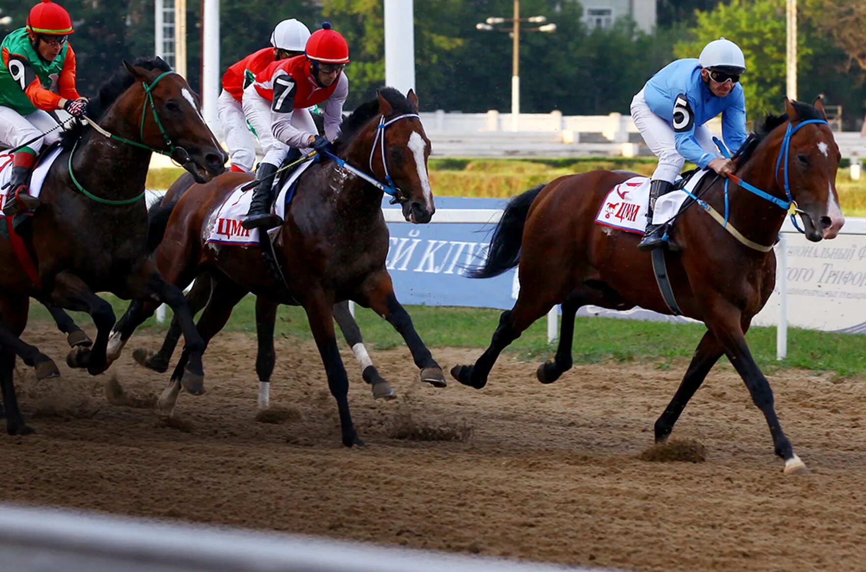 Гладкие скачки. Лошадь на скачках. Скачки фото. Скачки на лошадях. Игра ат-чабыш.
