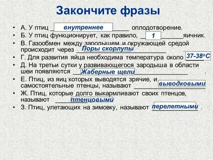 Почему птицы нормально функционируют при температуре 40