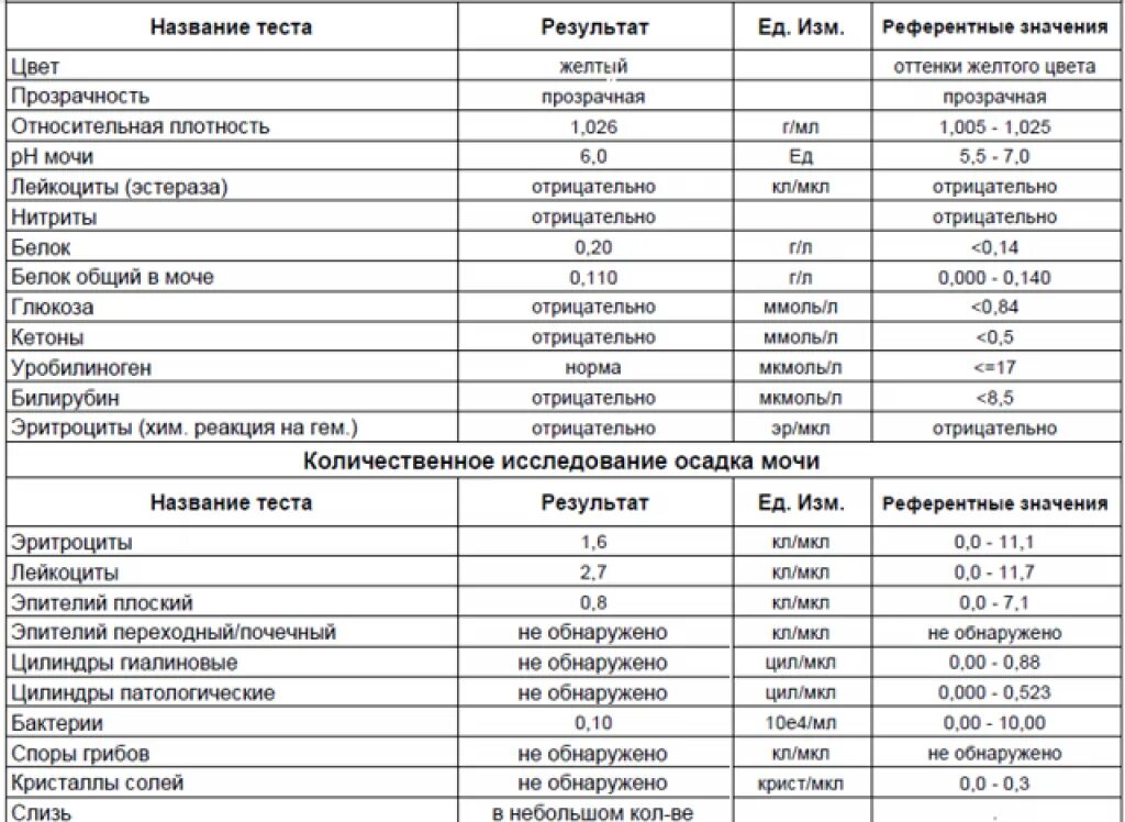 Белок в моче какая причина. Показатели лейкоцитов в моче норма. Норма белка мочи у беременных. Анализ в моче лейкоциты норма. Норма белка в моче у беременной.