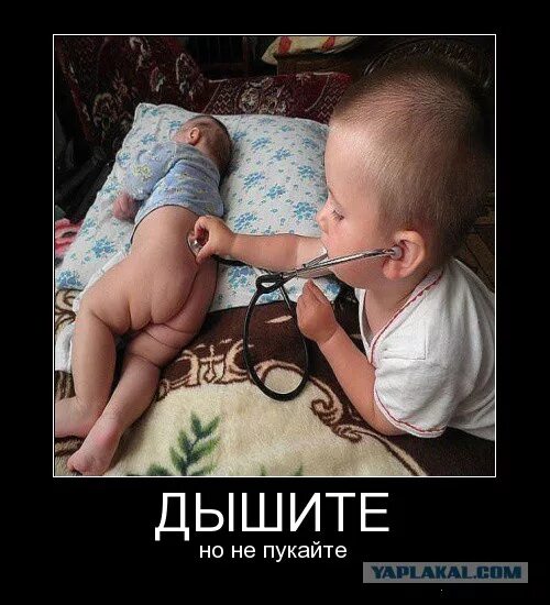 не дыши 2 фильм 2021. не дышал не шевелился. не дыши актеры. не дышал не шевелился. не дыши хоррор страшилка.