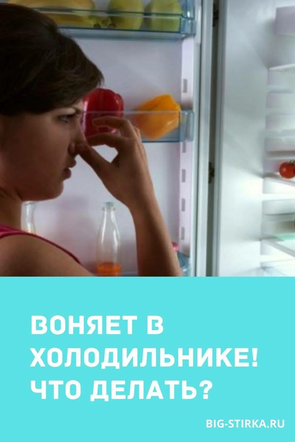 Запах в холодильнике как избавиться. Запах в холодильнике как избавиться