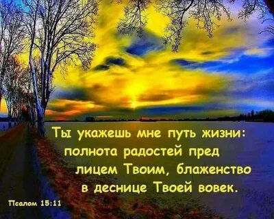 Путь жизни библия