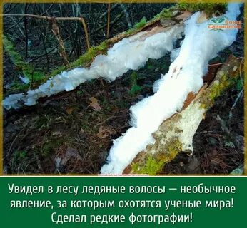 Редко делают