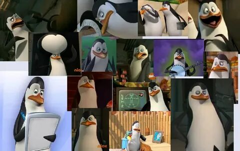 Kowalski липецк