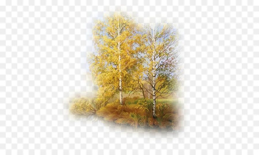 Осенняя береза на прозрачном фоне. Осенняя береза вектор. Осенняя береза на прозрачном фоне. Осеннее дерево на прозрачном фоне. Осенняя береза на прозрачном фоне.