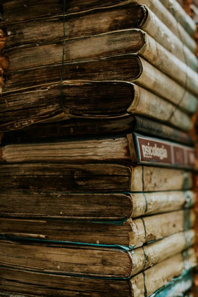C 11 books