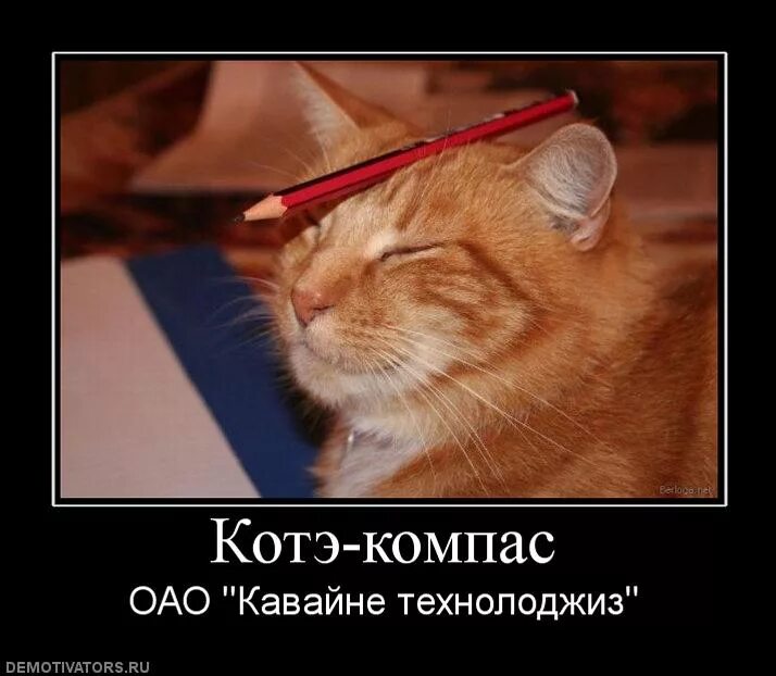 Котэ сборник 2023. Котэ демотиваторы. Демотиваторы с котами. Демотиваторы про котов. Рыжий кот демотиватор.