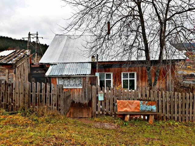 Таранчиха. Авито пашия пермский. Авито дача пашия. Авито пашия пермский. Авито дача пашия.