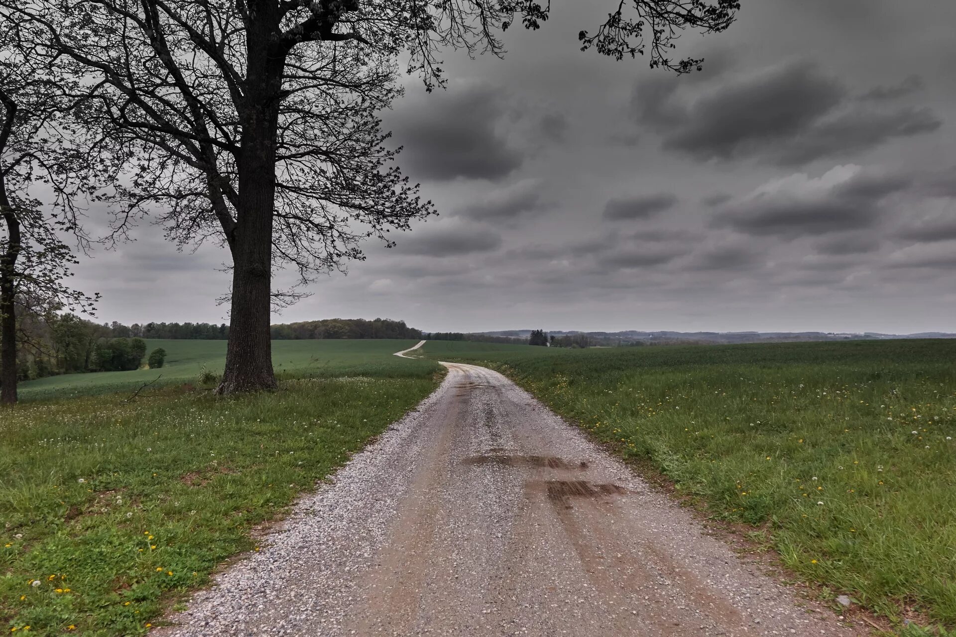 County roads. Проселочная дорога. Грунтовая дорога. Проселочная дорога фон. Существо с проселочной дороги.