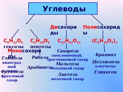 Углеводы видеоурок 10 класс биология