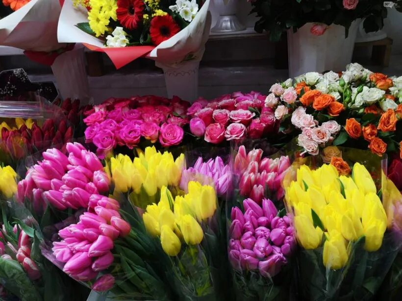 Купить тюльпаны в цветочном магазине. Цветы магазинные. Цветы в цветочном магазине. Тюльпаны в цветочном магазине.