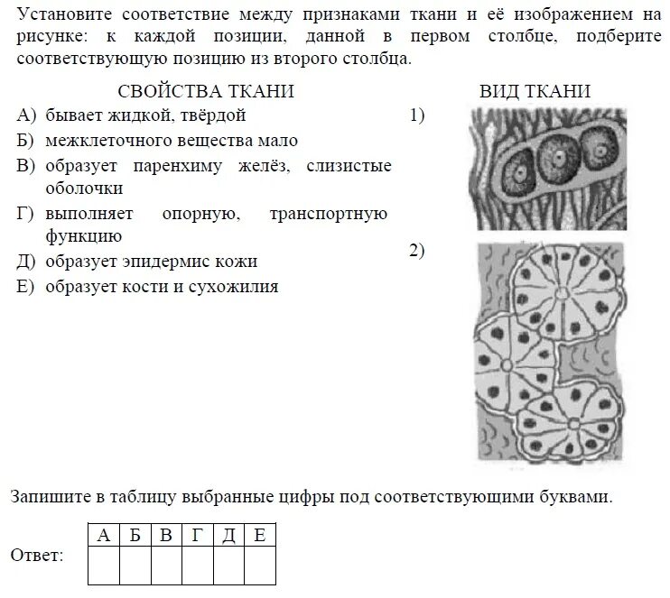 Биология 9 класс 2021. ЕГЭ по биологии задания. Биология ЕГЭ 2021. Биология (ЕГЭ). ЕГЭ биология задания с рисунками.