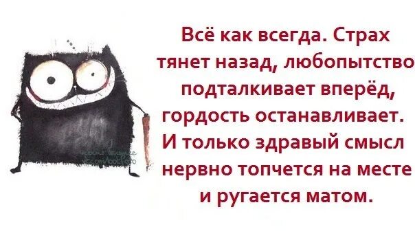 Страх тянет назад. Страх тянет назад. Страх тянет назад. Не бойся ошибиться. Сделай первый шаг.