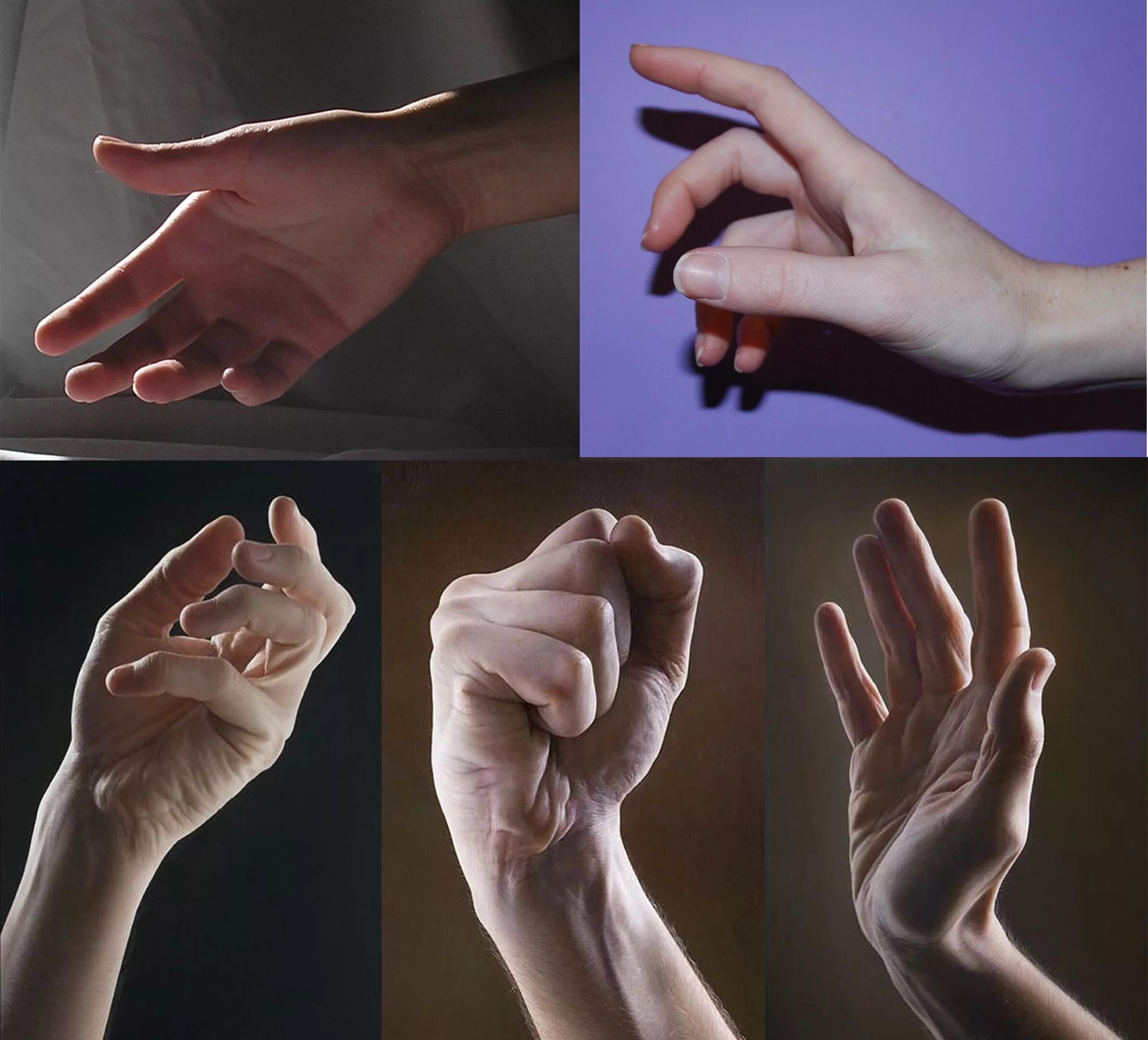 Кисть руки. Красивые позы рук. Мужская рука с разных ракурсов. Мужская рука референс кисть.