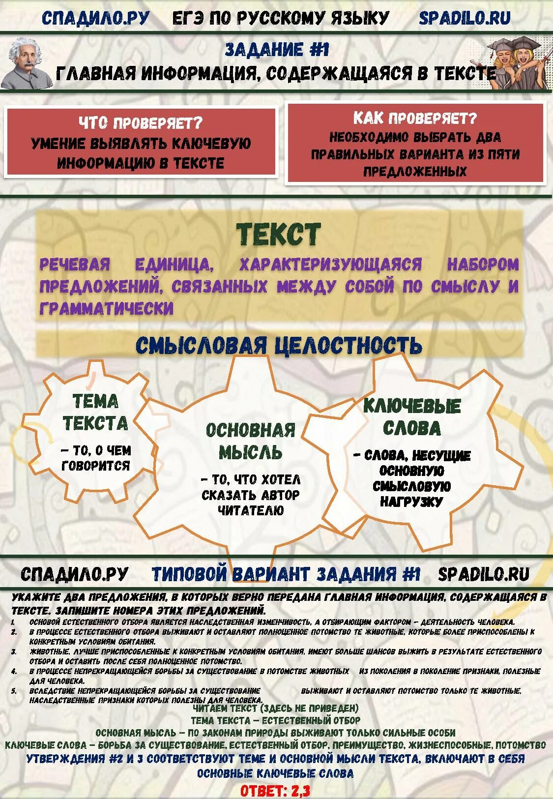 Задание 3 егэ практика. Егэ русский язык задание. задания егэ по русскому. задания егэ русский. 1 задание егэ русский язык.