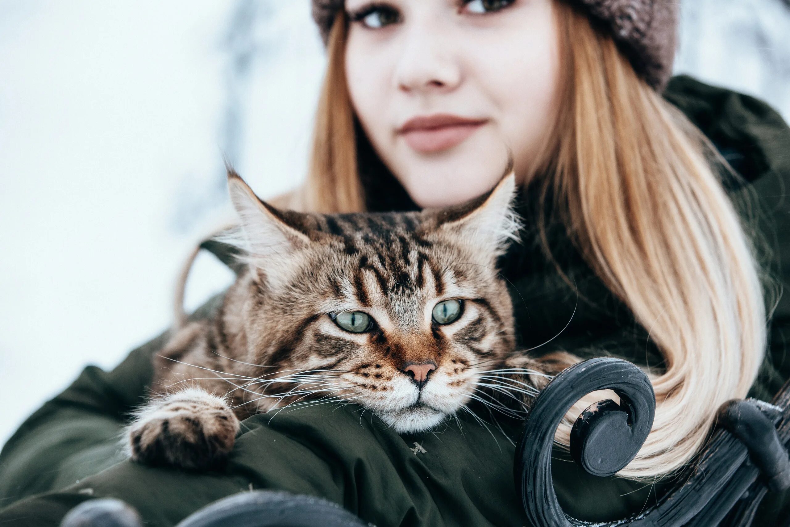 Картинка девушка с кошкой. Девушка кошка. Девушка с котиком. Красивая девушка с котом. Девушка кошечка.