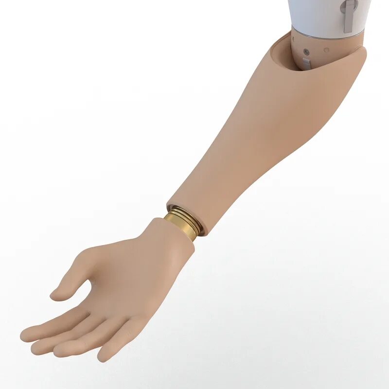 Arm rig
