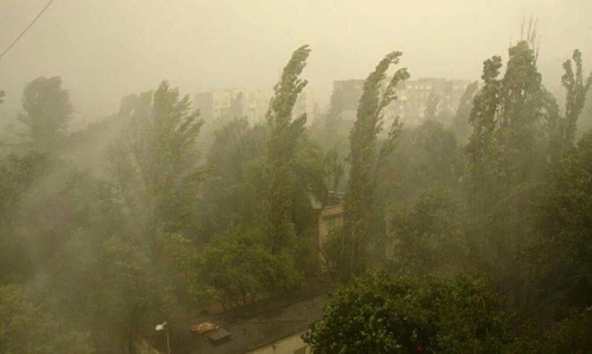 Когда будет сильный ветер. Пылевая буря в Донецке. Донецк Песчаная буря. Пыльная буря. Сильный ветер и дождь летом.