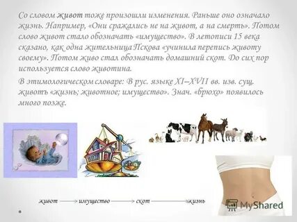Как произошло слово исследование