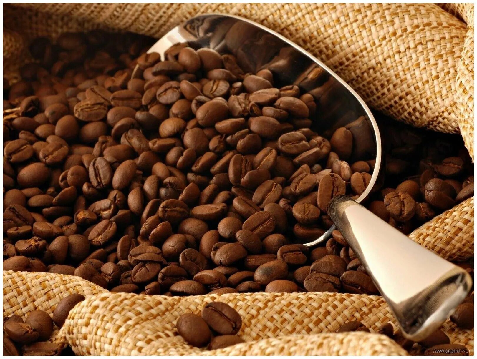 Savings and offers available The 12 Best Ethical & Sustainable Coffee Brands for