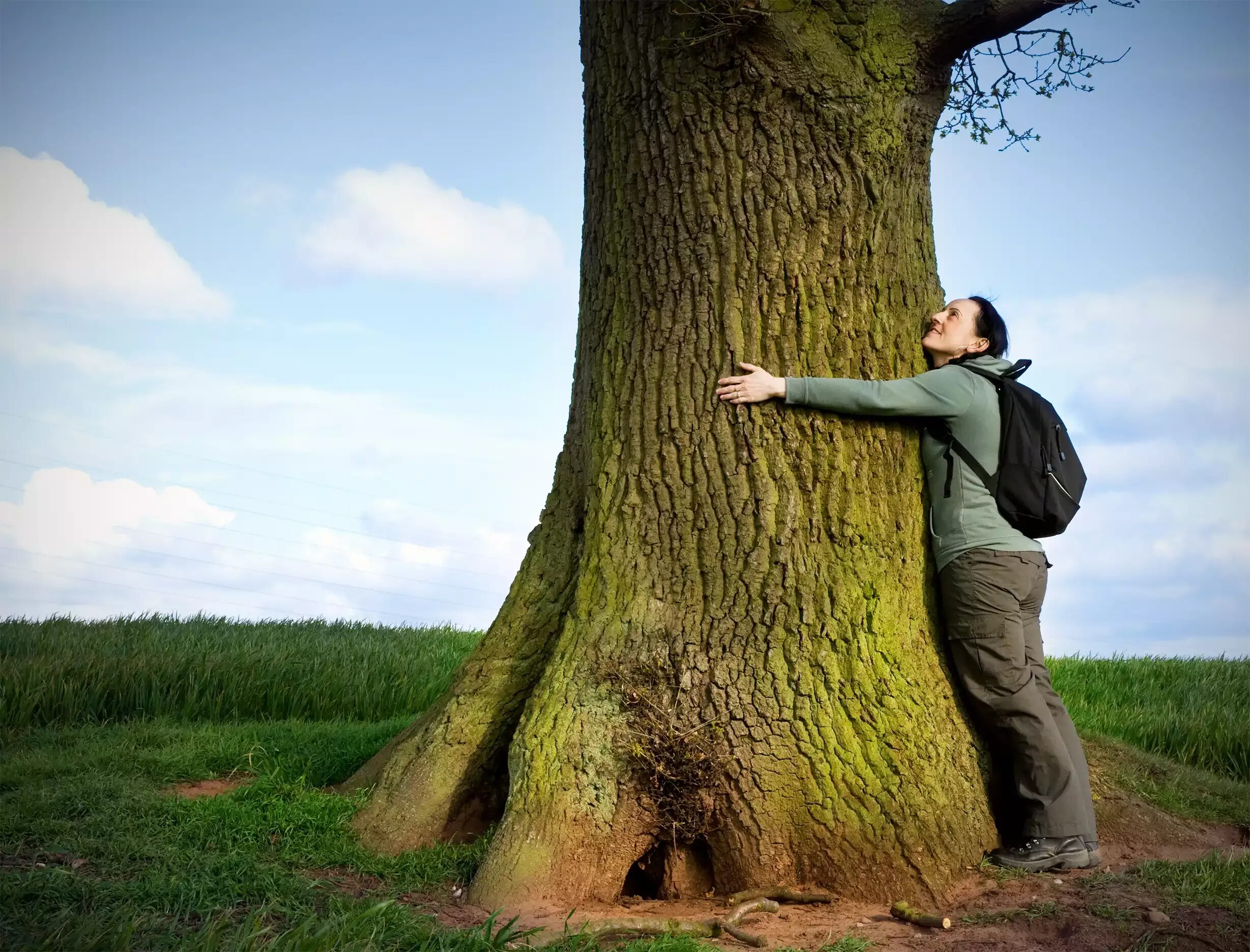 Человек под дубом. Человек обнимает дерево. Мужик обнимает дерево. Дуб человек.