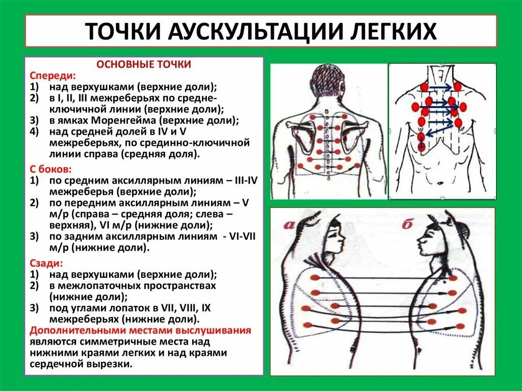 При бронхите выслушивается. Проведение аускультации легких алгоритм. Аускультация легких алгоритм точки. Точки аускультации легких у детей. Схема проведения аускультации легких.