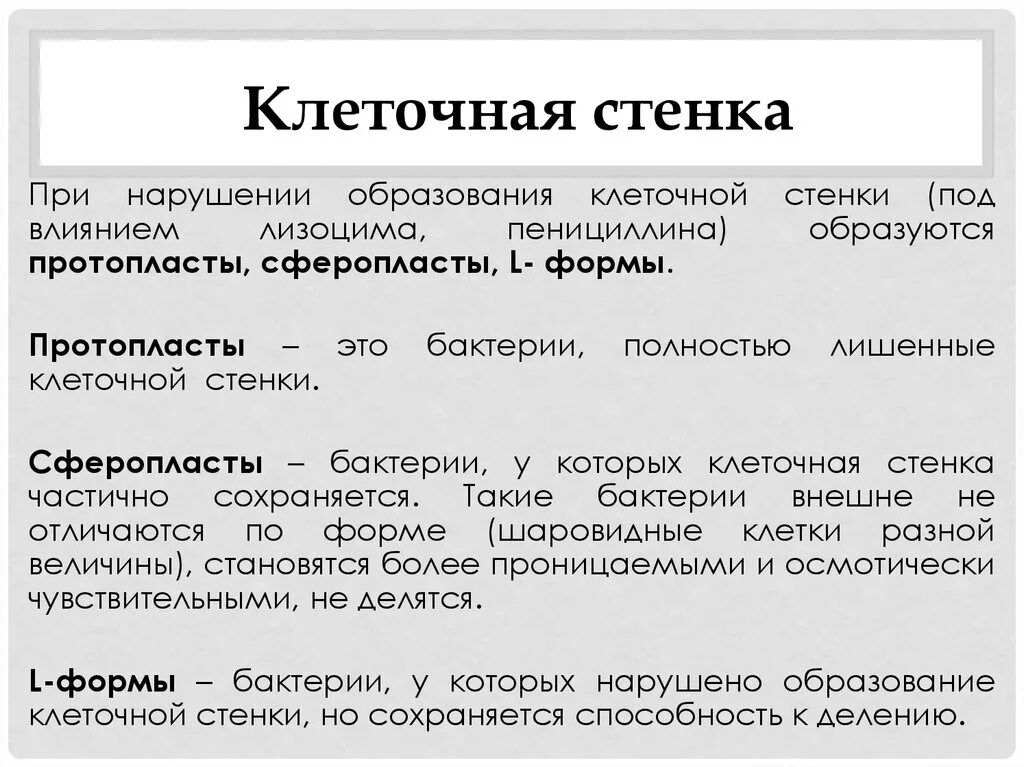 Утрачены полностью или частично. Протопласты и сферопласты l-формы бактерий. Протопласты. L – формы бактерий.. Субклеточные формы бактерий Протопласты сферопласты l-формы бактерий. L формы бактерий.