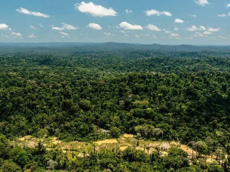 Dive into exotic natural soundscapes.