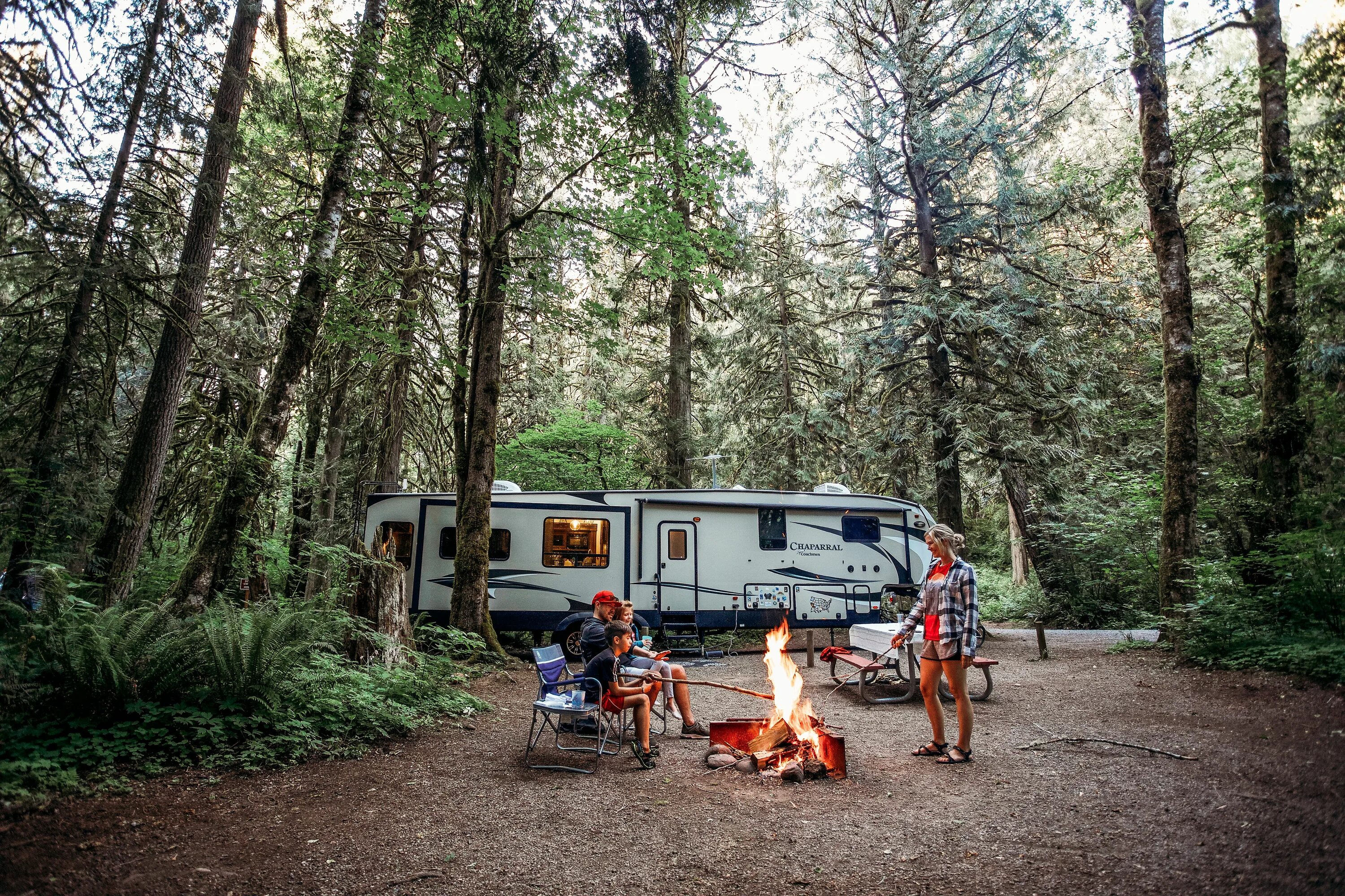 Включи camping. Автокемпинг можжевеловая роща. Автокемпинг Сосновая роща. Ван кемпинг. Арт место для кемпинга.