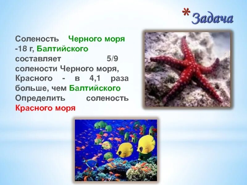 Поэтому черное балтийское красное море. Чернь море. Красное море. Балтийское море волны. Северное море самое опасное.