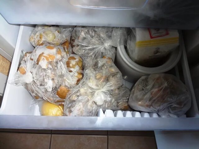 Морозилки грибы. Морозики грибы. Белые грибы в морозилке. Грибы в холодильнике.