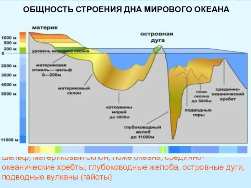 Рельеф дна океанов 5 класс география. Срединно-Океанические хребты дна мирового океана. Схема дна мирового океана 6 класс. Строение дна мирового океана. Шельф материковый склон ложе океана глубоководный желоб.