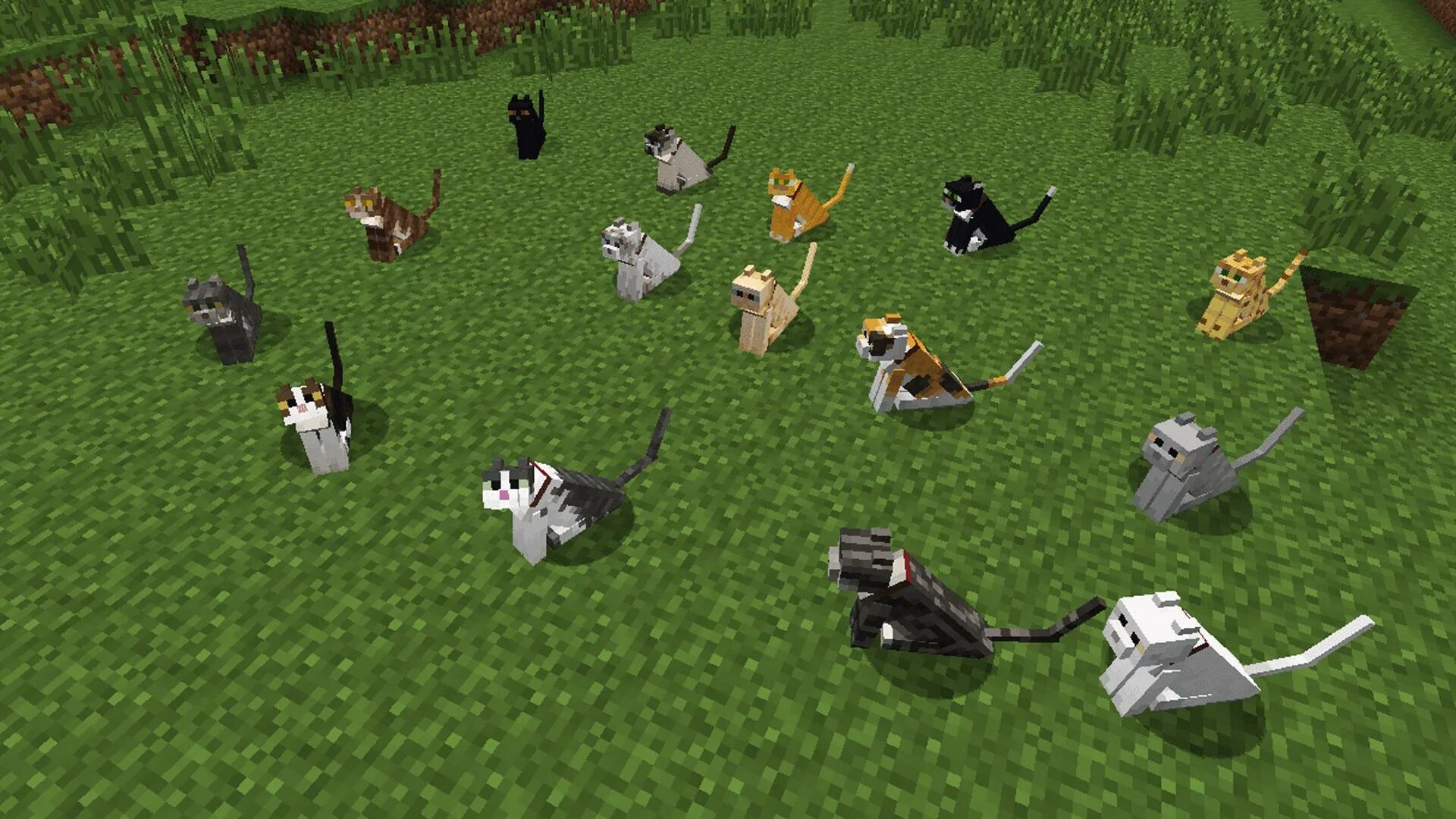 16. Сарай в майнкрафте для животных. Домики для животных в майнкрафте. Мод на кошек в майнкрафте. Комната для животных в майнкрафте.