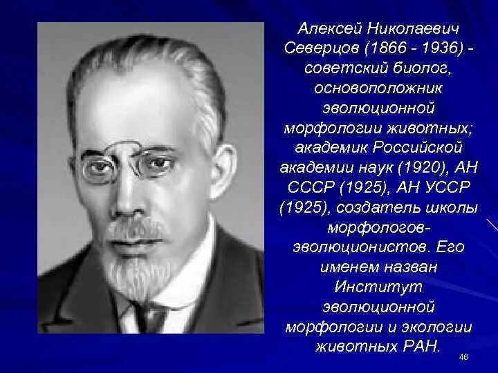 Н а северцев. Н а северцев