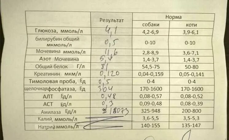 Биохимия мочи показатели. Синдром куш нга у собак. Щелочная фосфатаза у собак показатели норма. Соотношение мочевина креатинин. Пониженный белок у собаки.