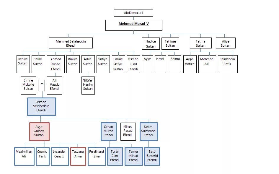 Сулейман древо. Династия Султана Сулеймана Древо семьи. Древо Султанов Османской империи. Династия Османов родословное Древо Эртугрул. Османская Империя дерево правления.