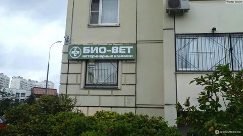 Ивц мва
