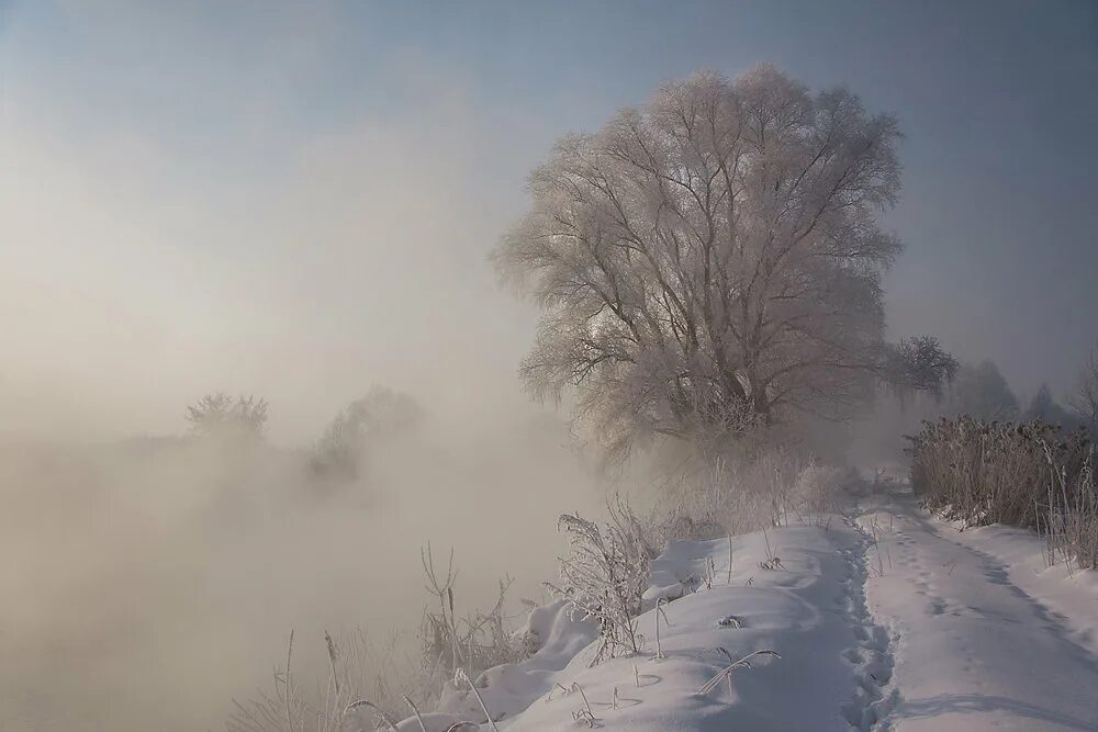 Туман зимой. Зимний туман. Туман в снегу. Морозный туман. Туман бывает зимой.