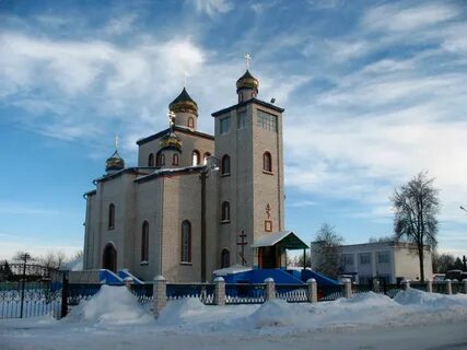 Город ветка