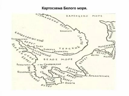 Белое море состоит