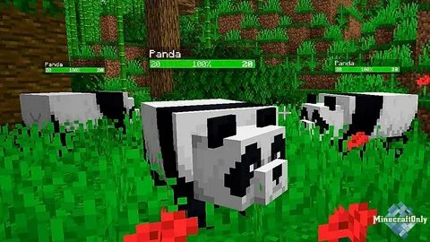 Neat 1.16 5
