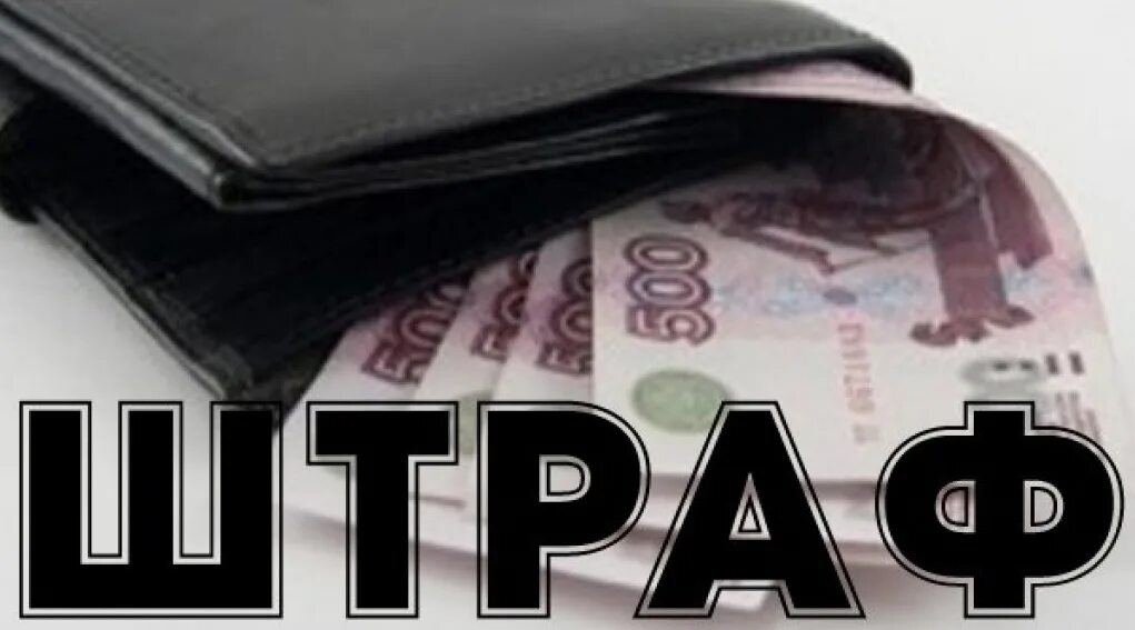 штра. штрули (нудли). доброе утро уходящего лета. штра. рэмэйт.