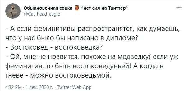 Феминитивы в русском языке. Фенимитив это. Новые феминитивы. Лингвист феминитив. Феминитивы в рф