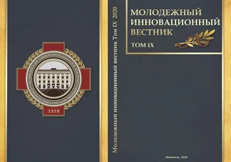 Молодежный инновационный