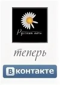 Ночи телеканалы