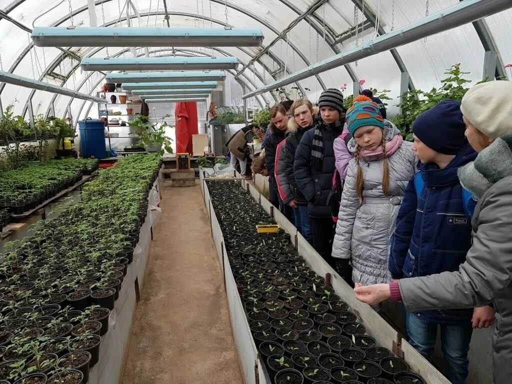 Где в тимашевске можно купить. Ботанический сад Сыктывкарского государственного университета. Ботанический сад СГУ Сыктывкар. Ботанический сад УДГУ Ижевск. Ботанический сад СГУ Саратов.