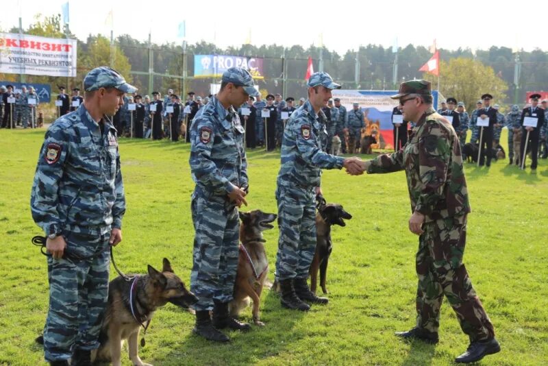 Соревнования кинологов мвд. Кинолог в новгород. Ветеринар кинолог. Пермский институт фсин россии кинология. Андрей канаев ульяновск кинолог.